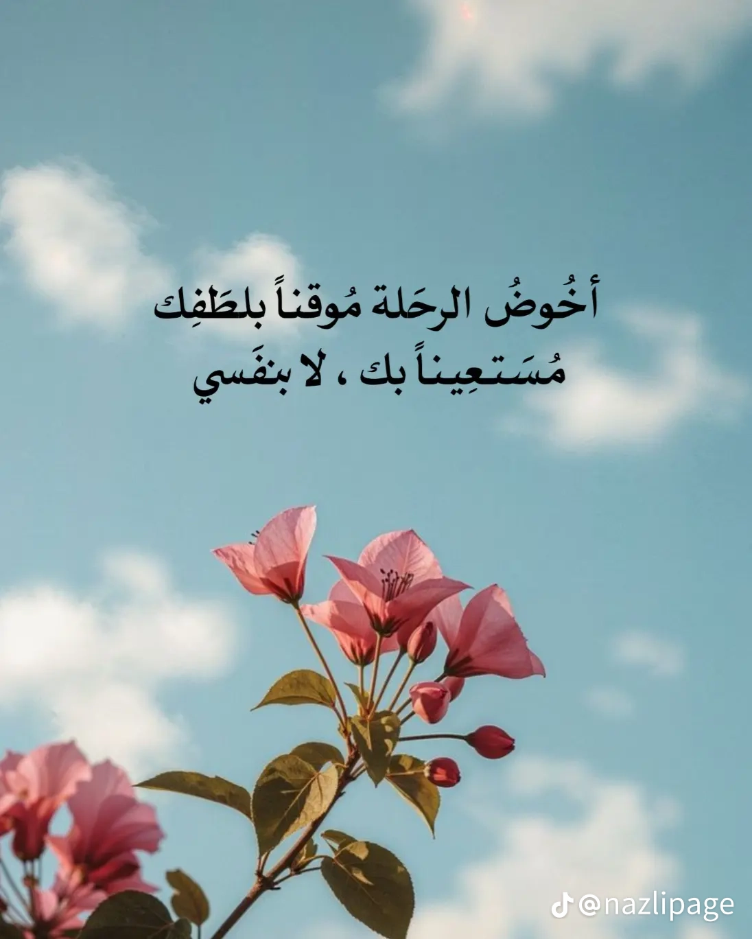 Hamza raho